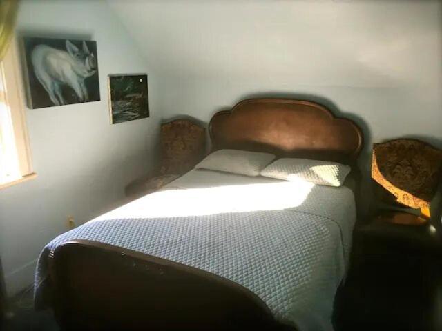 Eugene Lodge And International Hostel Eksteriør billede